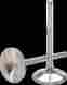 Dw-kx450f-iv06 0926-1057 Del West Intake Valve Titanium