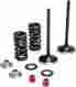 Xf-2-0926-2435 0926-2435 Moose Racing Valve Kit Ex Mse Crf250