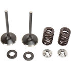 0926-2467 Moose Racing Valve Spring