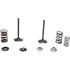 0926-2572 Moose Racing Valve Spring