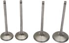 0926-2590 Moose Racing Pro Valve
