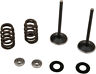 0926-3197 09263197 Moose Racing Stainless Valve Spring Kit Exhaust Husqvarna
