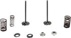 1074787 Moose Racing Intake Valve-spring