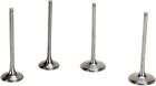 1074801 Moose Racing Pro Valve Kit Titanium Fits Kawasaki