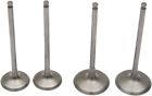 1074807 Moose Racing Pro Valve