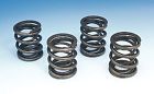 11-0482 Kibblewhite Valve Spring Set
