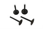 11-0679 Vtwin Nitrate Intake And Exhaust Valve Set