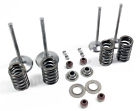 12004-0745 Kawasaki Full Intake And Exhaust Valve Kit New Oem