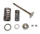 49078-1052 12004-1052 49078-1051 Kawasaki Ltd Ninja Exhaust Valve Springs Retainers