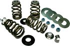 0926-1469 1201 Beehive Feuling High-load Valve - Springs