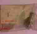 12021-323-300 Honda Nos Valve Guide Freeshipus Can