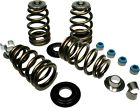 0926-0854 1205 High-load Feuling - Valve Beehive Springs