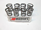 13-9250 Andrews Hi-lift Valve Spring
