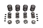 132115 Sifton Valve Spring Kit