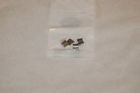 14431-116-000 Honda Valve Rocker Arm
