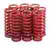 20-0789 Kpmi Kibblewhite Cr-si Red Powercoated Clutch Springs Hd Shovelhead 20-0789 Kpmi Kibblewhite Cr-si Red Powercoated Clutch Springs Hd Shovelhead
