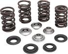 20-20060 Kibblewhite Precision Valve Spring