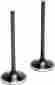 20-2013 Kibblewhite Precision Black Diamond Intake Valve 20-2013 Kibblewhite Precision Black Diamond Intake Valve