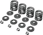 20-20425 Kibblewhite Spring Kit Vlv 20-20425 Kibblewhite Spring Kit Vlv