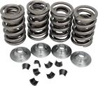 20-20430 Kibblewhite Precision Valve Spring Kit Lift Harley Davidson Duo 20-20430 Kibblewhite Precision Valve Spring Kit Lift Harley Davidson Duo