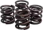 20-2215 Kibblewhite Precision Valve Springs 20-2215 Kibblewhite Precision Valve Springs