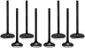 20-23300 Kibblewhite Black Diamond Valve Kits
