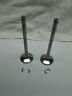 21020042a Ducati Monster Intake Valves Pair
