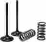 Xu-09550es 250excf Xu-09550e Psychic Exhaust Valve Spring Kit Ktm 250sxf 250 Sx-f Exc-f Sxf Excf