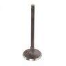28.2419-2 Pro Titanium Intake Valve For Yamaha