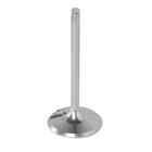 28.6428-1 Pro X Steel Exhaust Valve 28.6428-1 Pro X Steel Exhaust Valve