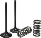 28.sis3338-2 Pro-x Steel Valve And Spring Kit