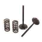 28.sis3408-2 Pro X Steel Intake Valve Spring Kit