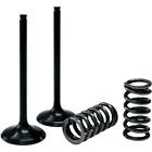 28sis24442 Pro-x Valve Spring Kit