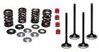 30-31262-30-31266-30-31250-700-100015 Kibblewhite Intake Exhaust Valves 744430317634