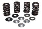30-31600 Kpmi Kibblewhite Lightweight Racing Valve Spring Kit Honda Crf450r