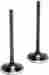 30-31612 Kibblewhite Precision White Diamond Intake Valve