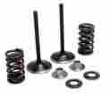 40-40360 Kpmi Kibblewhite Intake Only Valves Springs Kit Kawasaki Kx450f 06-08 40-40360 Kpmi Kibblewhite Intake Only Valves Springs Kit Kawasaki Kx450f 06-08