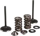 40-40380 Kibblewhite Precision Intake Valve-spring