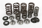 40-40700 Kibblewhite Precision Valve Spring