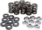 40-40800 Kibblewhite Spring Kit Ninja 40-40800 Kibblewhite Spring Kit Ninja