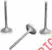 Wp-19-9405 4187076 Pro-x Intake Valve Steel