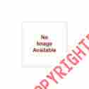 Wp-609-2524 5136314 Outside Distributing High Performance Shock 12in