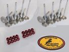 60-4217h 60-4218h - S15 Kibblewhite Precision Head Oem Intake Exhaust Race Valves Seals Suzuki
