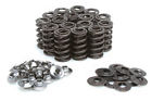 60-60146 Kibblewhite Precision Titanium Race