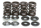 60-6041 Kibble White Suzuki Dr250