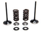 60-60450 Kpmi Kibblewhite Intake Valves