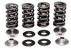 60-60650 Kibble White Suzuki Rmz Kibblewhite Race Titanium Valves Springs Kit