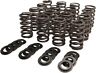 60-60950 Kibblewhite Precision Beehive Spring Only Kit Fits Suzuki