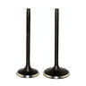 605244401431 Ahl Intake Exhaust Valves Kit For Honda