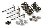 61236030110 Ktm New Valves Kit